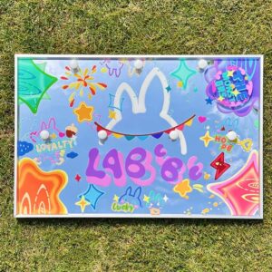 LABUBU Storage   Mirror Rainbow Hanging Picture Doll Storage